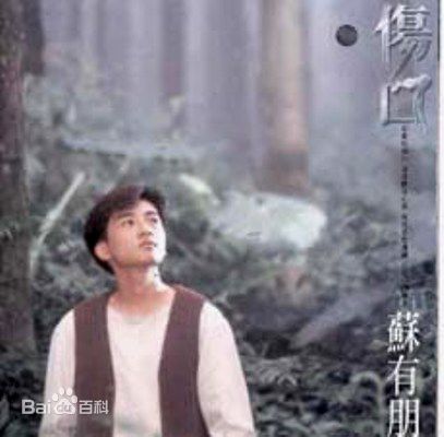 苏有朋(Alec Su)最新单飞后专辑封面壁纸