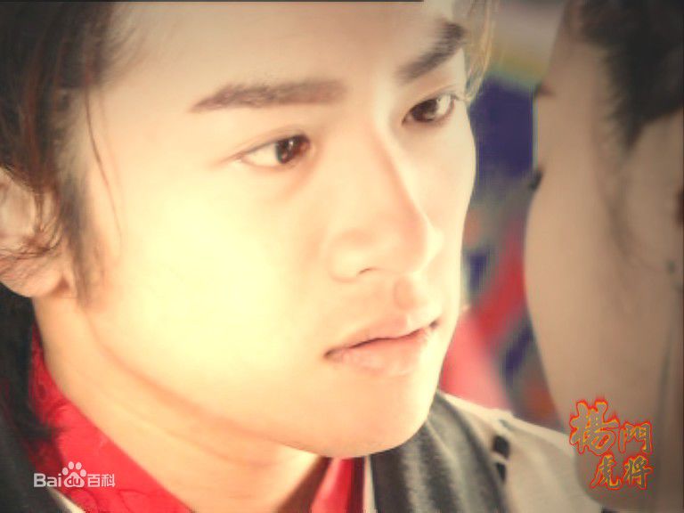 苏有朋(Alec Su)在《杨门虎将》饰杨延朗中的