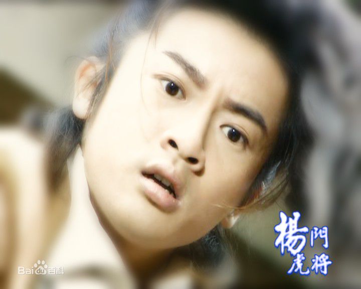 苏有朋(Alec Su)在《杨门虎将》饰杨延朗中的