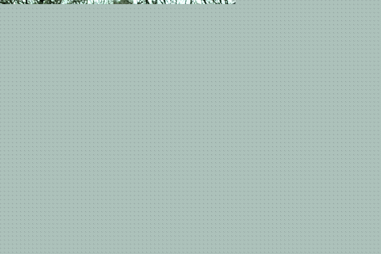 高清苏有朋(Alec Su)精彩图册