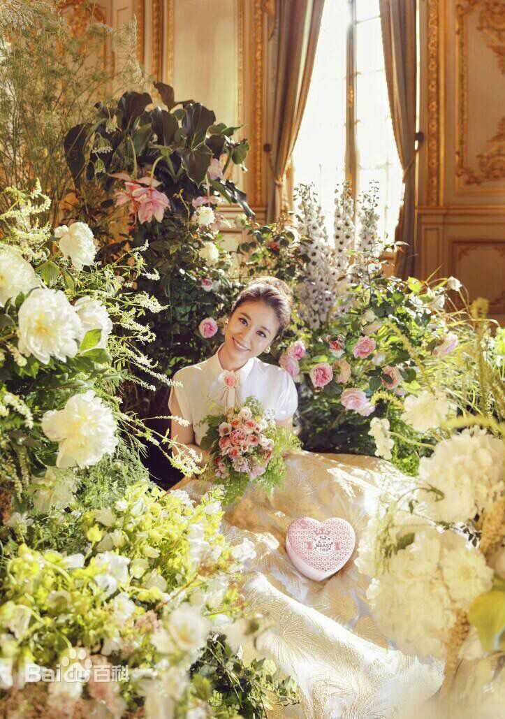 林心如(Ruby Lin)代言素颜照相册