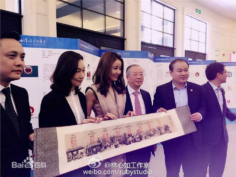 林心如(Ruby Lin)2011-2016公益活动壁纸壁纸