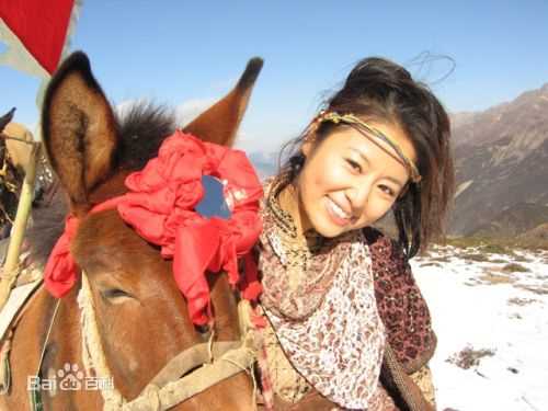 精选林心如(Ruby Lin)在《大理公主》段艾月中的图册