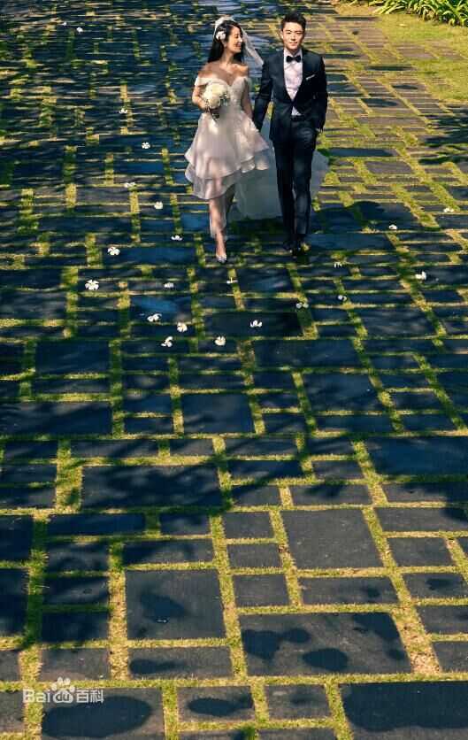 林心如(Ruby Lin)与霍建华婚纱照壁纸壁纸