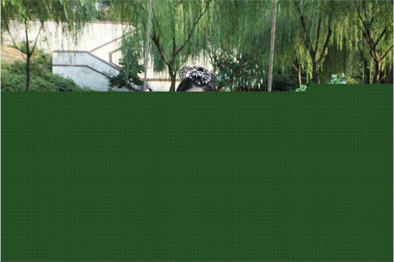 林心如(Ruby Lin)精彩图册