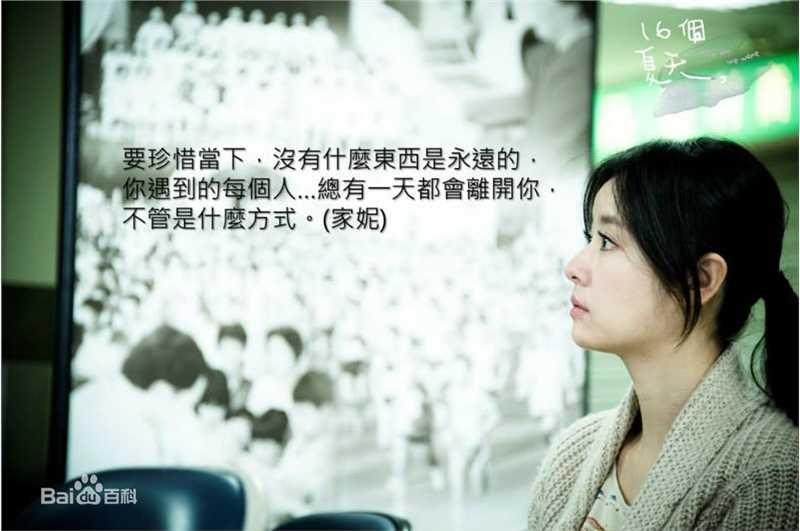 林心如(Ruby Lin)电视剧-16个夏天 饰演唐家妮图片图册