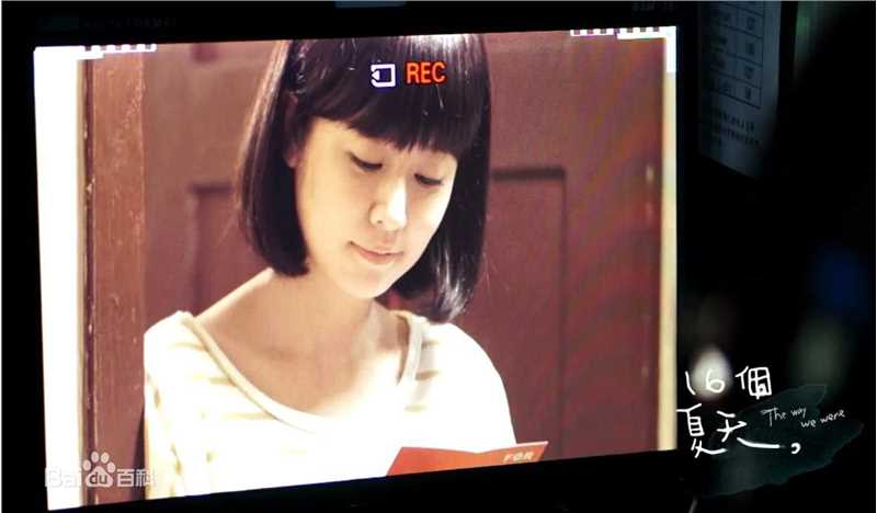 林心如(Ruby Lin)电视剧-16个夏天 饰演唐家妮图片图册