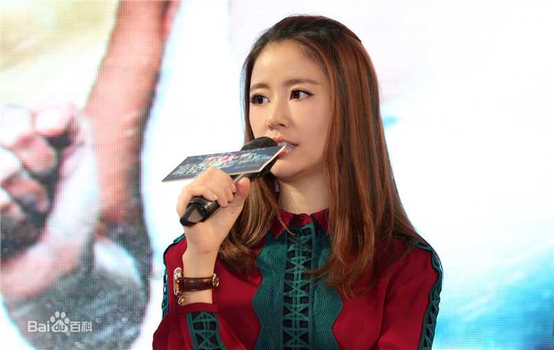 林心如(Ruby Lin)20160629魔轮成都宣传图片图集