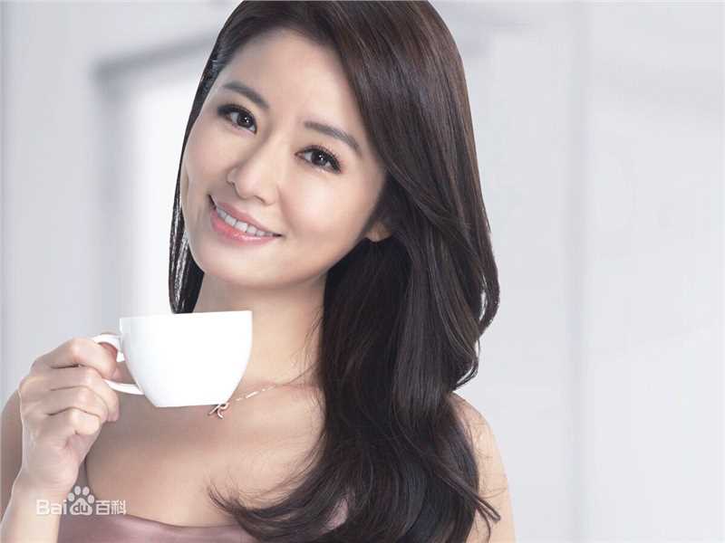 林心如(Ruby Lin)代言-好太太生活照相册