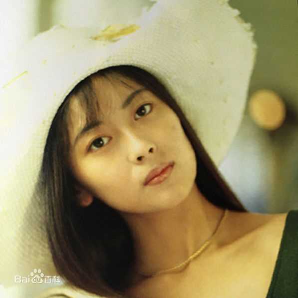 最全中山美穗(Miho Nakayama)壁纸