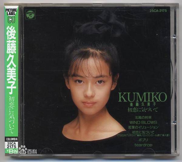 高清中山美穗(Miho Nakayama)精彩图册