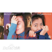 中山美穗(Miho Nakayama)前后照片