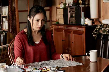 仲间由纪惠(仲間由紀恵、なかま ゆきえ)电视剧作品形象图册