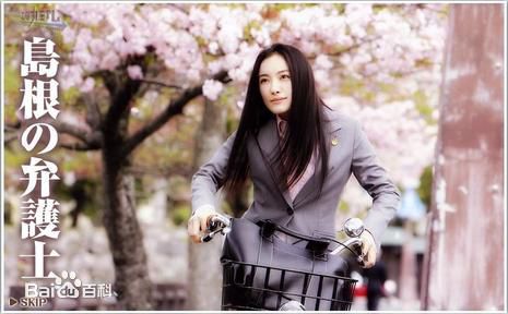 仲间由纪惠(仲間由紀恵、なかま ゆきえ)电视剧作品形象图册