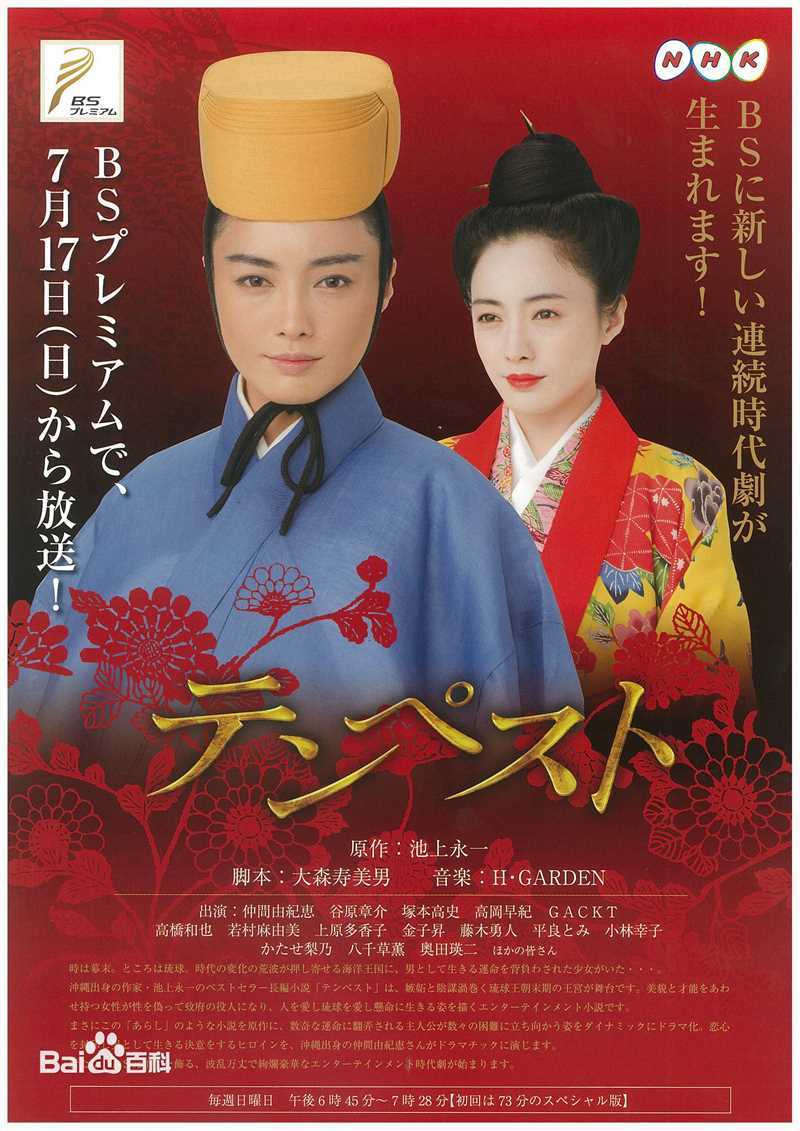 仲间由纪惠(仲間由紀恵、なかま ゆきえ)电视剧作品形象图册