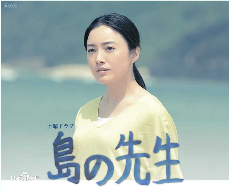 仲间由纪惠(仲間由紀恵、なかま ゆきえ)电视剧作品形象图册