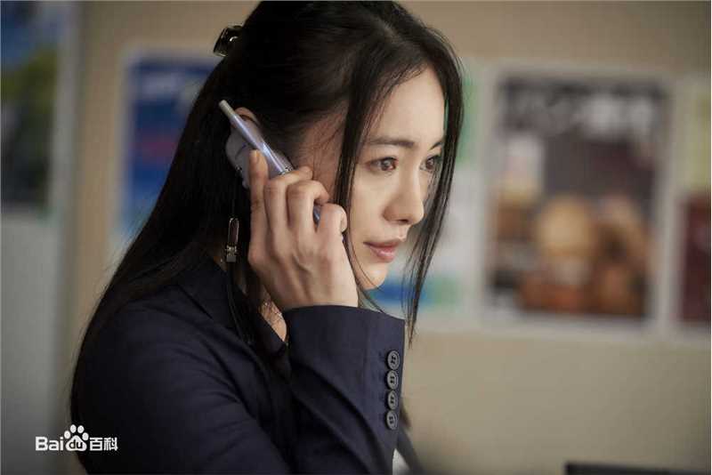 仲间由纪惠(仲間由紀恵、なかま ゆきえ)电视剧作品形象图册
