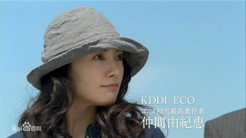 仲间由纪惠(仲間由紀恵、なかま ゆきえ)代言活动形象性感图片壁纸