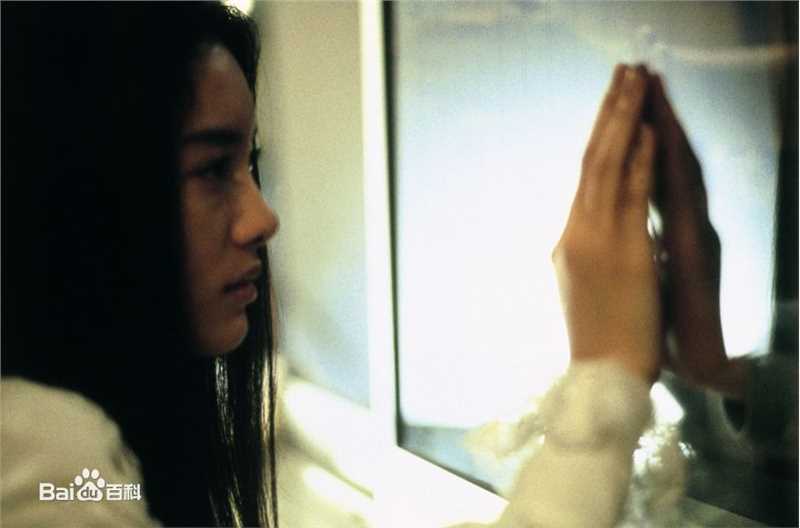 仲间由纪惠(仲間由紀恵、なかま ゆきえ)电影作品形象壁纸壁纸