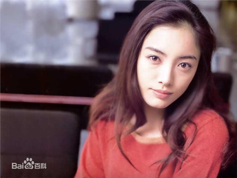 仲间由纪惠(仲間由紀恵、なかま ゆきえ)前后照片