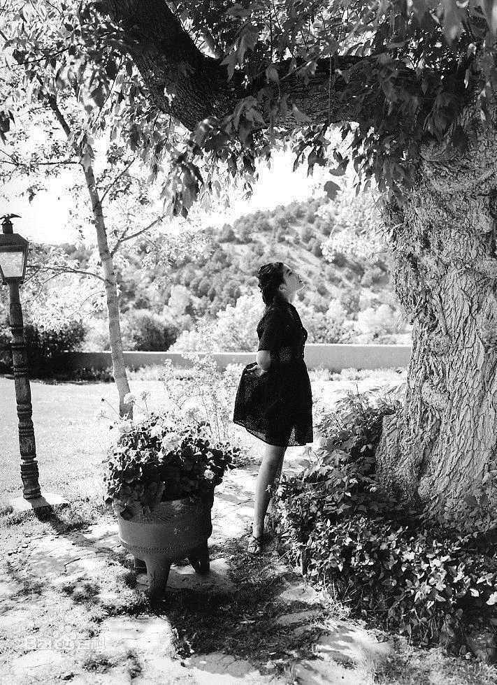 宫泽理惠(宫沢りえ、Rie Miyazawa)Sant Fe，1991壁纸壁纸