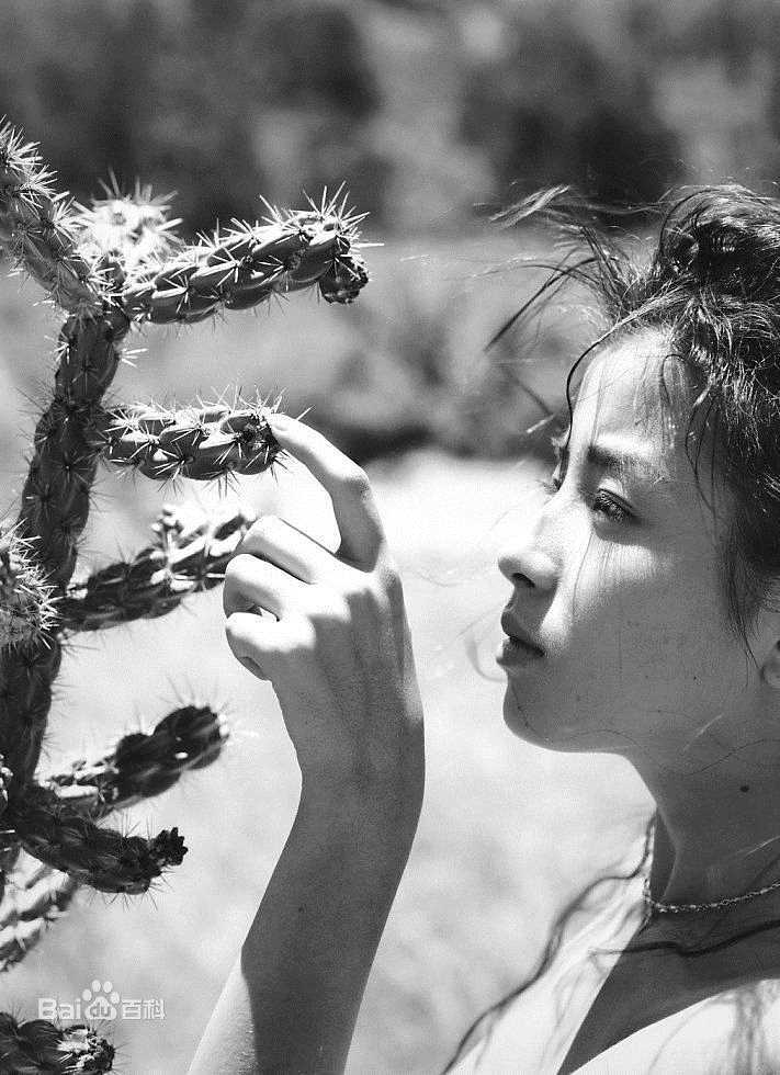 宫泽理惠(宫沢りえ、Rie Miyazawa)Sant Fe，1991壁纸壁纸