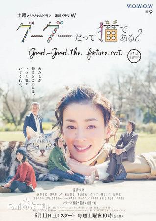 宫泽理惠(宫沢りえ、Rie Miyazawa)前后照片