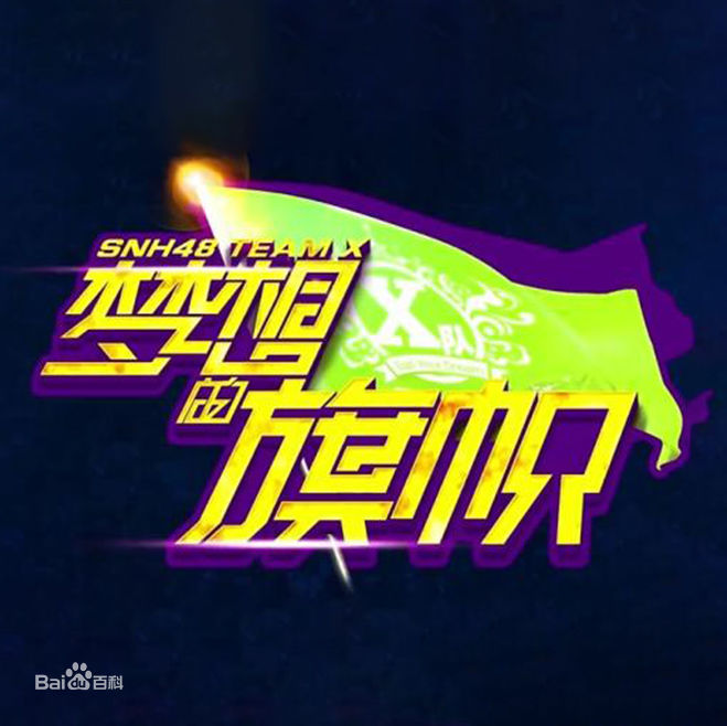 SNH48(エスエヌエイチ フォーティエイト)Team X公演图册