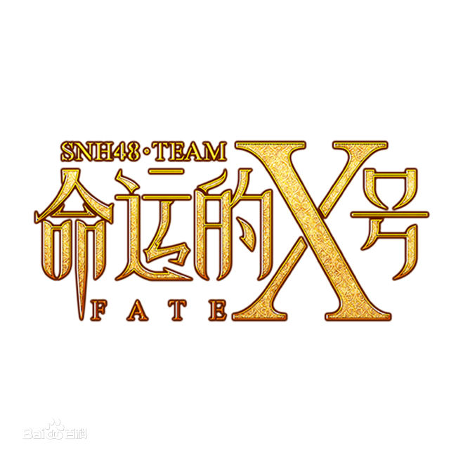 SNH48(エスエヌエイチ フォーティエイト)Team X公演图册