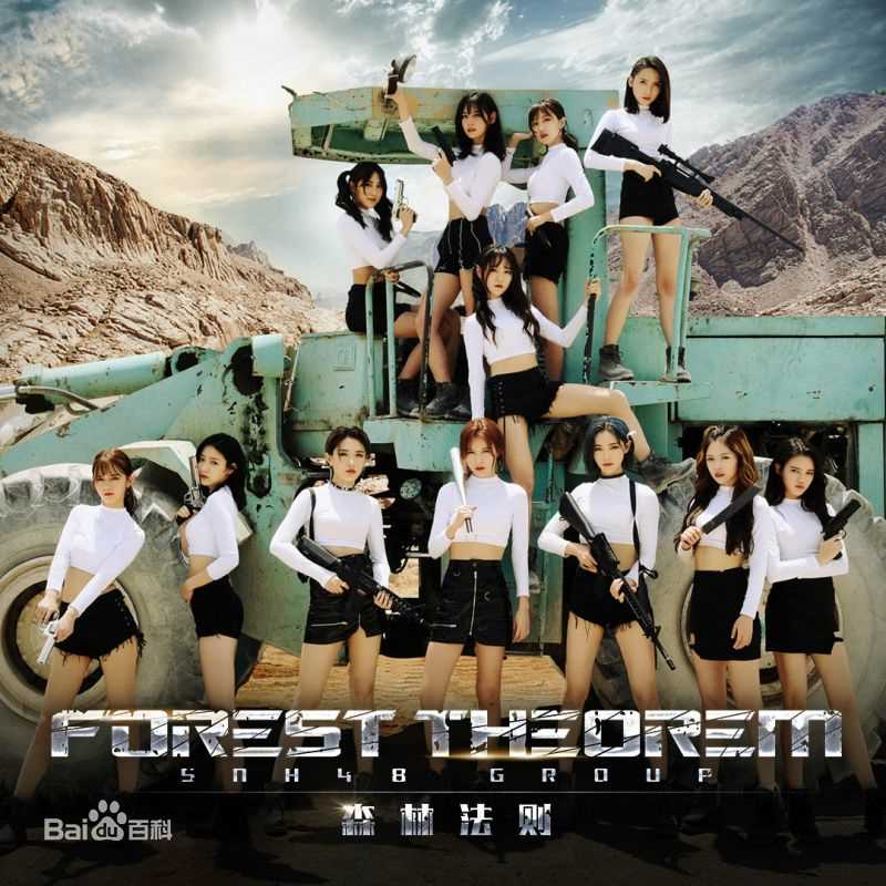 高清SNH48(エスエヌエイチ フォーティエイト)图片