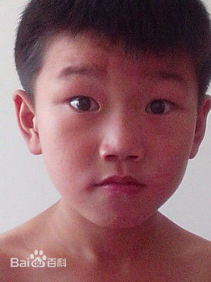 最全谭景月壁纸