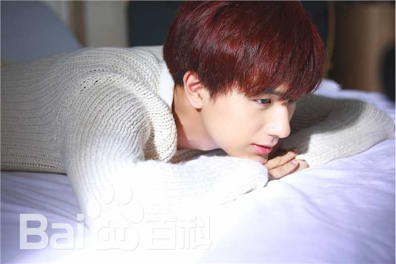 李宏毅最全壁纸