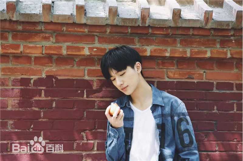 李宏毅最全壁纸