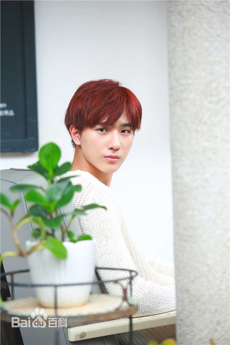 李宏毅最全壁纸