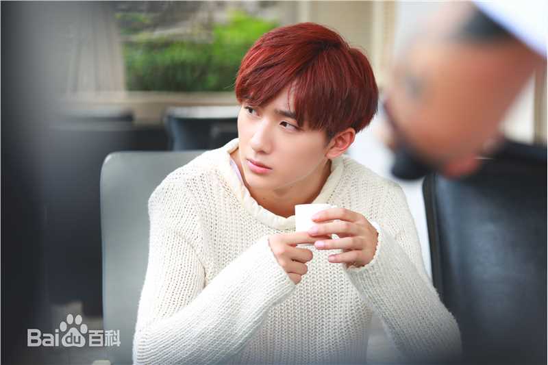 李宏毅最全壁纸