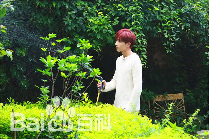 李宏毅最全壁纸