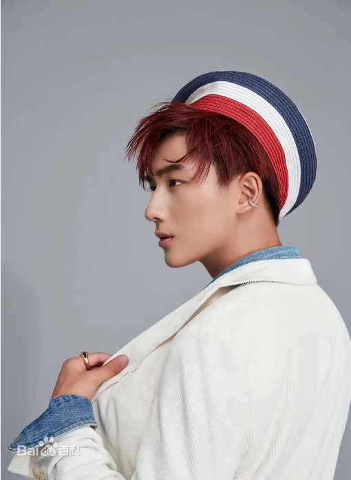 李宏毅最全壁纸