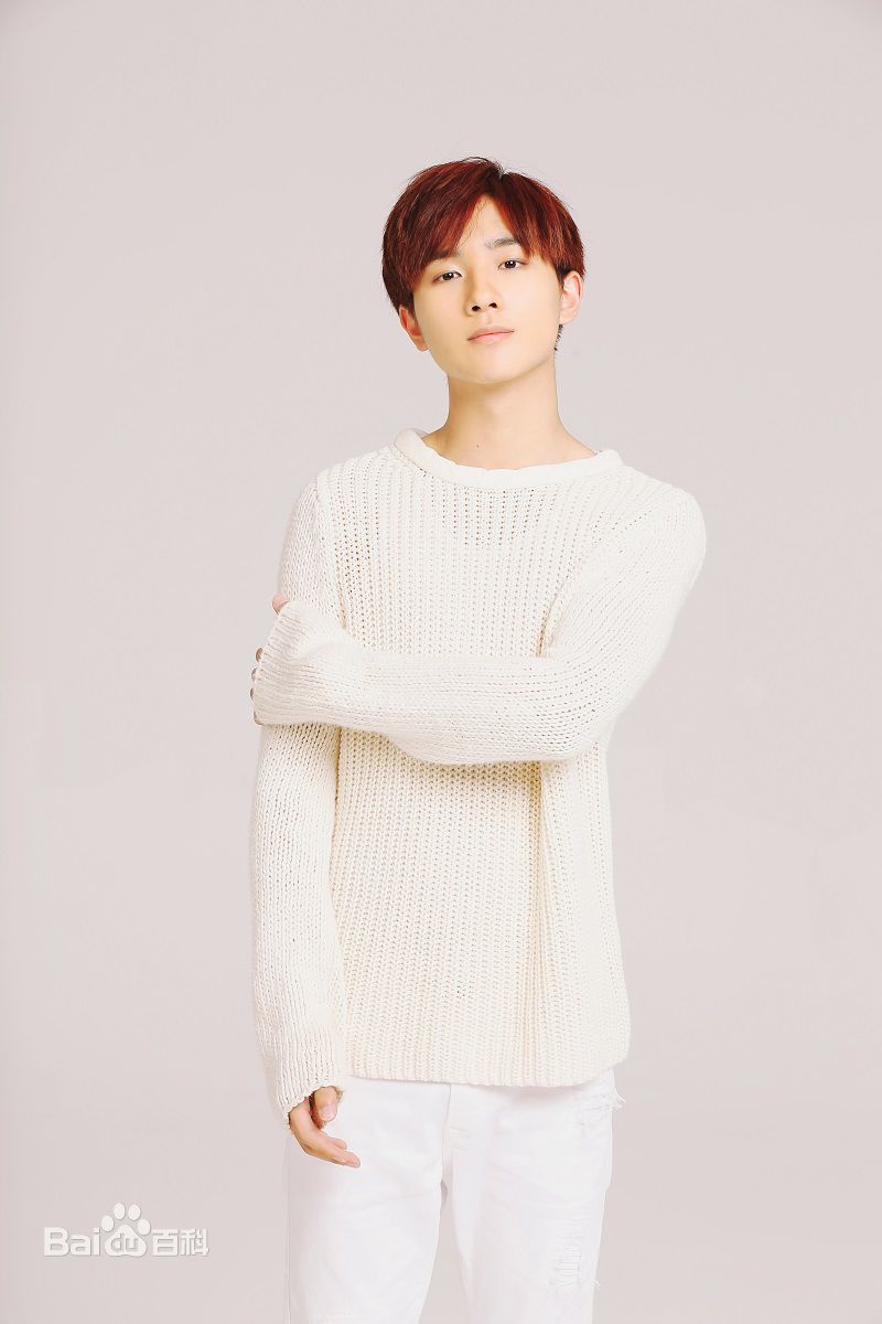 李宏毅最全壁纸