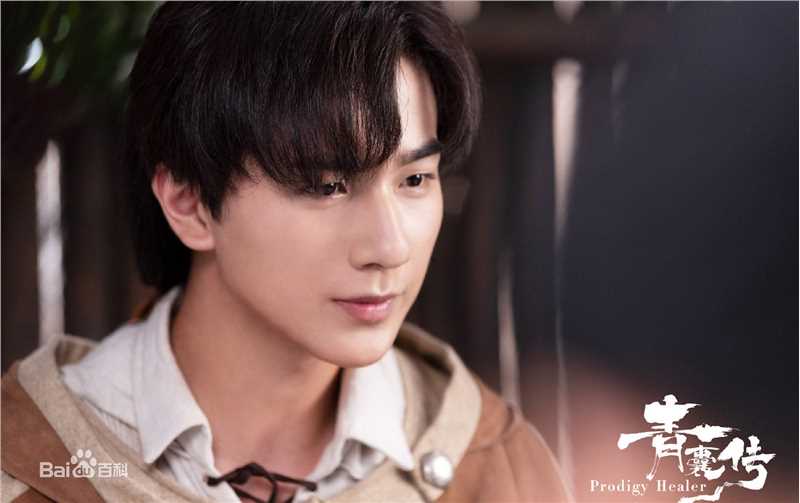 李宏毅青囊传图片图集