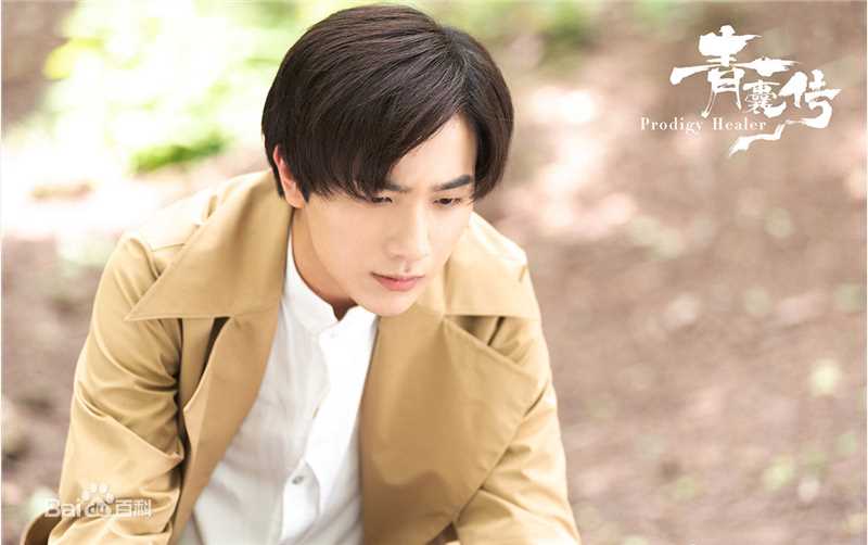 李宏毅青囊传图片图集