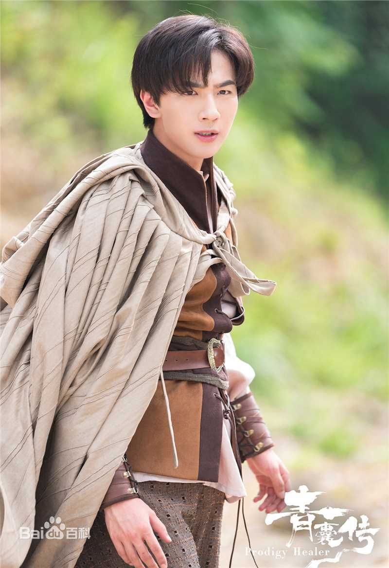 李宏毅青囊传图片图集