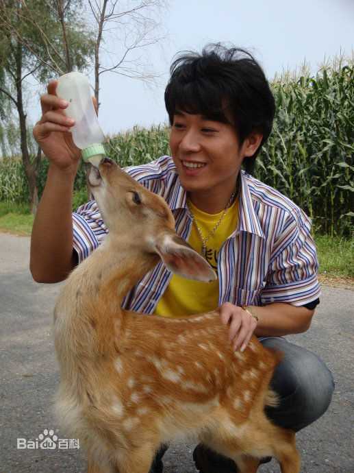 马光泽在《喜临门》饰演罗晓飞剧照