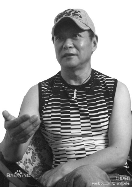 迟志强今日风采图册