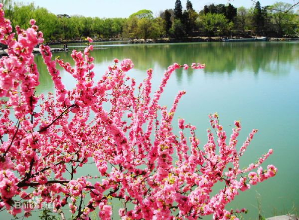 最优质迟志强生活照