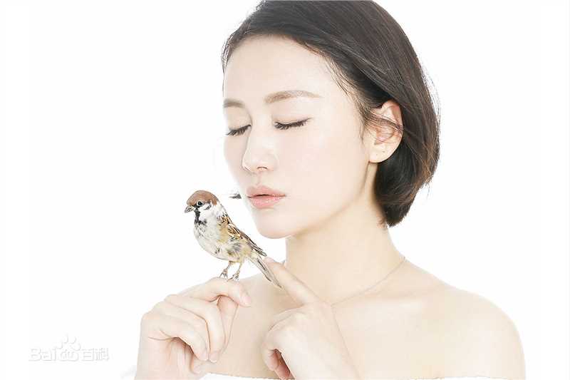 最全王婉娟壁纸