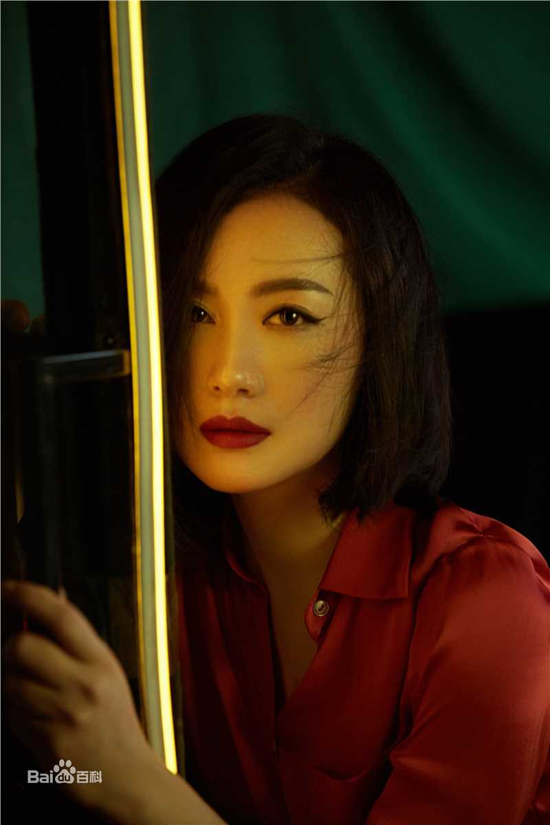 王婉娟高清图集