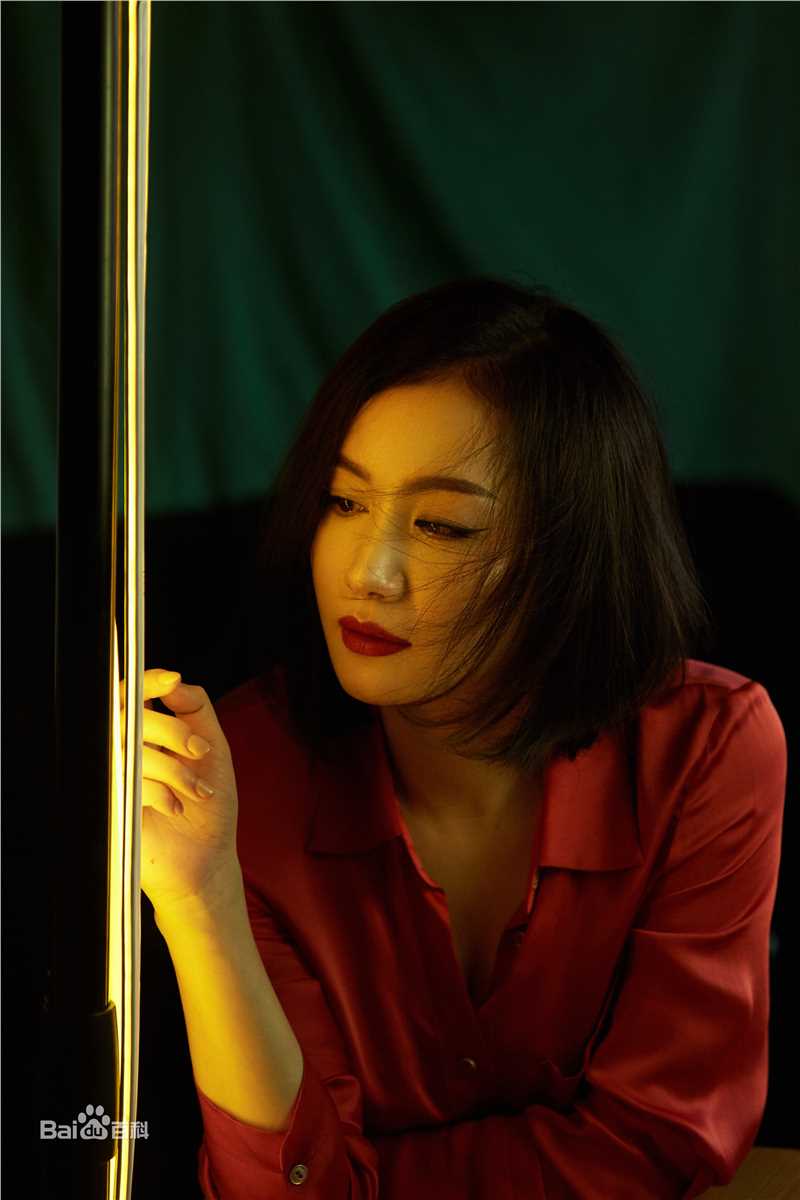 王婉娟高清图集