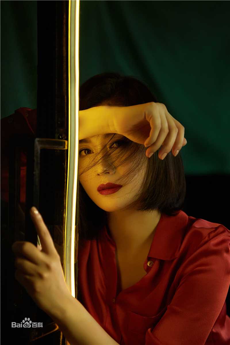 王婉娟高清图集