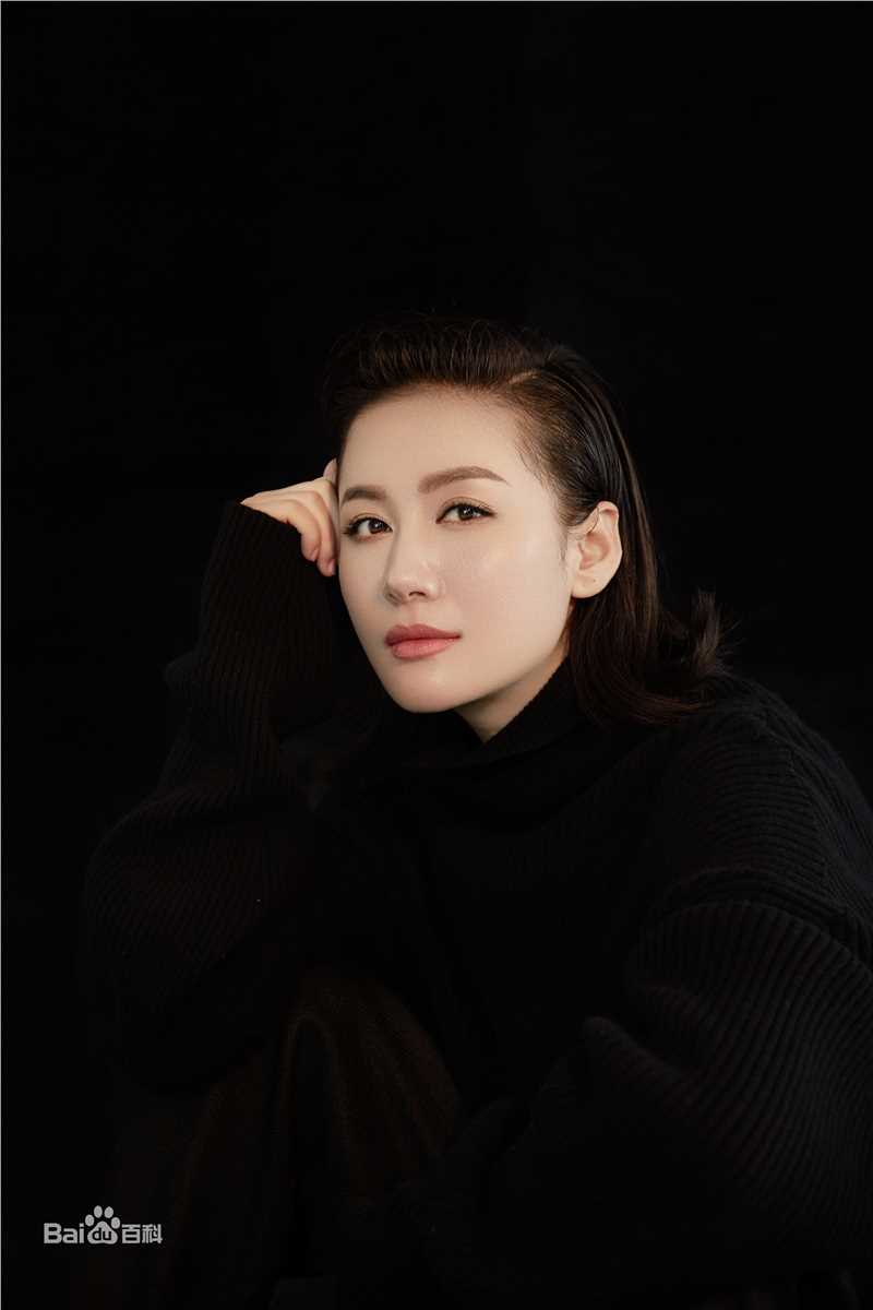 王婉娟高清图集