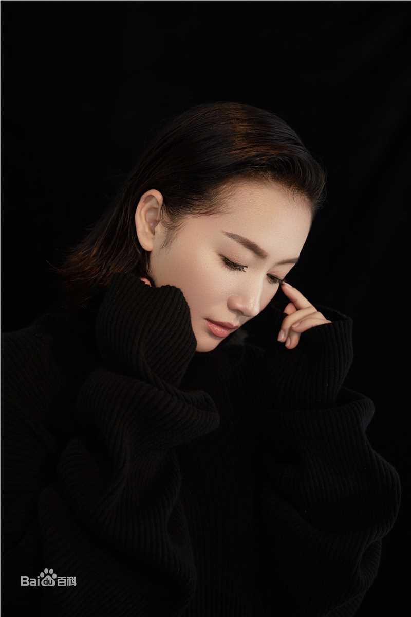 王婉娟高清图集